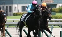 【中京5R新馬戦結果】カレンブラックヒル産駒の8番人気アルスマグナがV