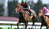【クローバー賞結果】未勝利馬ストームサンダーが4馬身差完勝