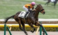 【新潟2歳S予想】世代最初のマイル重賞に素質馬が集結 左回りを経験していた馬が優勢か