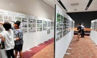 夏の高校野球、大阪大会の熱戦振り返る　記者撮影の写真展、始まる