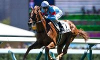 【札幌5R新馬戦結果】ミスティックレナンが逃げ切り勝ち クラックスマン産駒のJRA初勝利