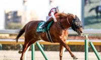 【キーンランドC・馬体重】ウインカーネリアンは512kg、パンジャタワーは488kg(+8)