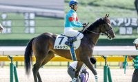 好メンバー揃う新潟記念と中京2歳S/今週の競馬界の見どころ