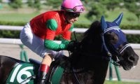 12番人気からの激走 今年誘導馬デビューのマイネルファンロンが制した21年新潟記念