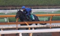 友道厩舎の2歳世代が動き出す レッドラージャが日曜中京で初陣/関西馬メイクデビュー情報