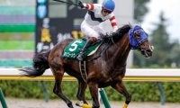 【先週のJRA抹消馬】障害重賞4勝のホッコーメヴィウス、ダート短距離で6勝挙げたアームズレインなど