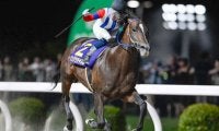 【川崎・スパーキングサマーC結果】リンゾウチャネルが4馬身差V！重賞6勝目を挙げる