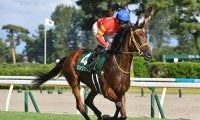 【新潟記念】シンリョクカがレース史上2頭目の連覇にチャレンジ