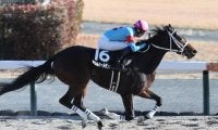 【門別・ブリーダーズGC注目馬】夏の牝馬限定ダートグレード競走 少頭数ながら好メンバー集う
