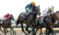 【新潟記念出走馬・騎手確定】エネルジコ＆C.ルメール騎手、クイーンズウォーク＆川田将雅騎手など17頭