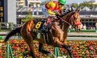 【白川郷S】兄姉に海外G1馬が2頭 グラヴィスが連勝でオープン入りなるか