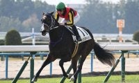 【紫苑S想定馬・騎手】リンクスティップ、テリオスララなど16頭