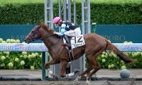 【札幌5R新馬戦結果】ドレフォン産駒リュウカルネが人気に応えて快勝