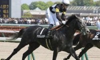 新潟芝は圧倒的に外枠有利 14番のアスクカムオンモアで勝負！