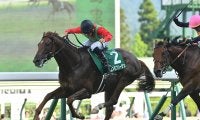 【競馬予想】新潟記念は別定戦になっても「荒れる」　人気の盲点となる伏兵２頭の大駆けに注意せよ