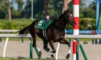 【新潟記念】クイーンズウォークが馬場入場でアクシデント、まさかの競走除外