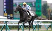 【新馬/札幌5R】レイデオロ産駒 エリプティクカーブが早め先頭から押し切る