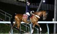 藤田菜七子元騎手、門別で誘導馬騎乗…引退後初の馬上姿に歓声