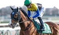 秋競馬が開幕！紫苑S・セントウルSなど4重賞/今週の競馬界の見どころ