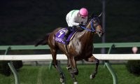 【盛岡・ビギナーズカップ】レジェンドバローズが無傷の3連勝！…7馬身差の圧勝