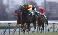 【京成杯AH登録馬】エリカエクスプレスなど16頭