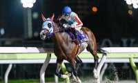 三冠馬誕生か、ライバルの巻き返しか 不来方賞を終えてジャパンダートクラシックの出走候補が出揃う