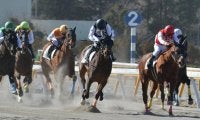 競馬学校からデビューの新人騎手が初めて0人　退学・留年者が相次ぎ