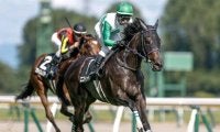 【紫苑S予想】ビッグレースでの経験が信頼に AIは妙味あるオッズがつきそうな馬を指名