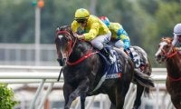 香G1・4勝のラッキースワイネスがスプリンターズS参戦 16日に来日へ
