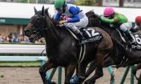 【札幌スポニチ賞】全兄はGI・2勝のダノンスマッシュ ハリウッドメモリーが連勝なるか
