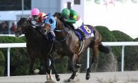 日本馬6頭が韓国決戦へ！9.7ソウルでコリアスプリント＆カップ出走