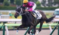 今週の武豊騎手は7鞍 スマートレイアーの仔を重賞初制覇に導くか