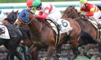 祖母は名牝ダンスインザムード 2.6億円馬ダノンミッションが待望の2勝目なるか