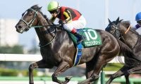 【京成杯AH】ディープインパクト産駒が好成績 5歳以上の牝馬に注目