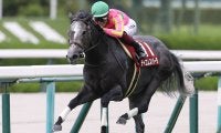 【競馬予想】スピード決着必至のセントウルＳで狙える穴馬２頭　人気急落の実績馬が高配当を演出か