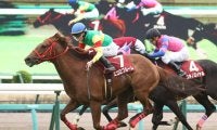 エコロブルームが骨折
