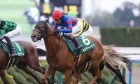 【競馬予想】セントウルＳに合う血統は？　ＧⅠスプリンターズＳへとつながる走りを期待できる２頭に注目
