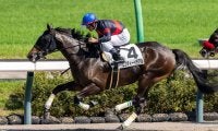【中山8R】ロフティーイデアルが惜敗に終止符…待望の2勝目をマーク