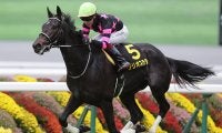 【競馬予想】中山開幕週の紫苑Ｓは今年も高速決着か　穴党記者が目をつけた好位で運べる伏兵２頭