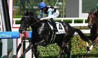 【阪神5R新馬戦結果】スタディオブマン産駒キッコベッロが2馬身差で快勝