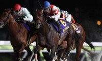 【コリアスプリント結果】日本勢はチカッパが2着 香港のセルフインプルーブメントがV