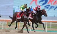 【コリアスプリント】武豊チカッパは惜しい2着…勝利したのは香港馬セルフインプルーブメント
