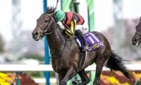 3日間開催でセントライト記念など3重賞/今週の競馬界の見どころ