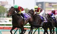 【セントライト記念登録馬】皐月賞馬ミュージアムマイルなど12頭