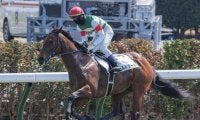 【先週のJRA抹消馬】ダービー馬の半弟ソルドラード、芝短距離で4勝のヤマニンアンフィルなど