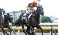 日本馬の凱旋門賞単勝オッズは？ 英ブックメーカーでの数字を紹介