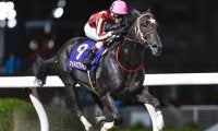 【川崎・戸塚記念結果】ナイトオブファイアが4馬身差圧勝で重賞初制覇