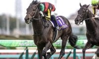 【セントライト記念出走馬・騎手確定】ミュージアムマイル＆戸崎圭太騎手、サクラファレル＆藤岡佑介騎手など12頭