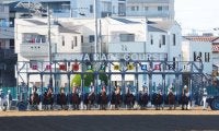 【浦和競馬】金沢競馬大雨災害支援レース実施へ