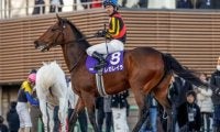 【オールカマー想定馬・騎手】レガレイラ、ヨーホーレイクなど11頭